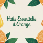 huile essentielle d orange gouttelettes illustration orange coupée