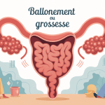 ballonnement ou grossesse illustration ventre femme