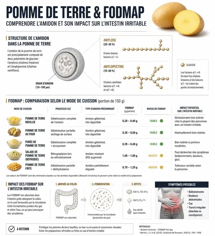 Infographie sur la tolérance de la pomme de terre et intestin irritable selon les modes de cuisson